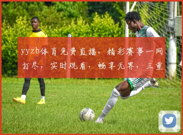 yyzb体育免费直播，精彩赛事一网打尽，实时观看，畅享无界，三重福利等你来
