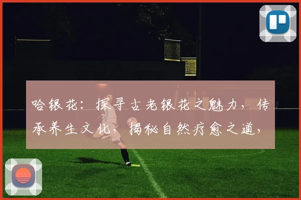 哈银花：探寻古老银花之魅力，传承养生文化，揭秘自然疗愈之道，三味同珍，养心养颜。