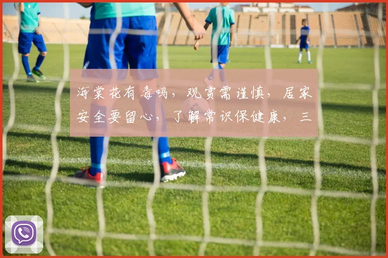 海棠花有毒吗，观赏需谨慎，居家安全要留心，了解常识保健康，三个要点记心间。