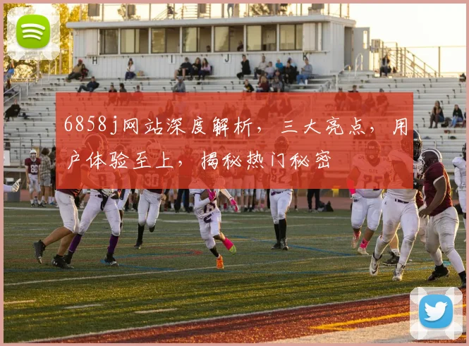 6858j网站深度解析，三大亮点，用户体验至上，揭秘热门秘密