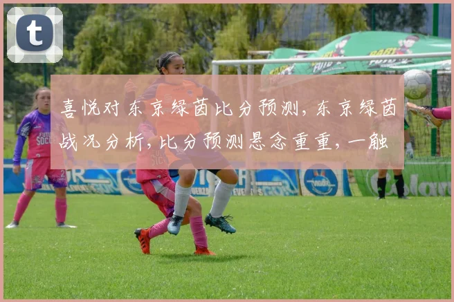 喜悦对东京绿茵比分预测,东京绿茵战况分析,比分预测悬念重重,一触即发